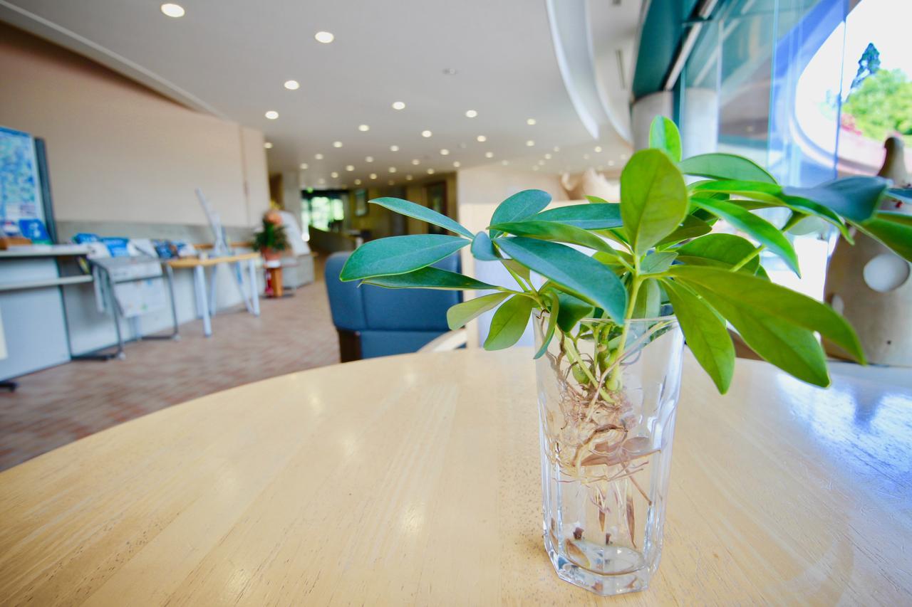Mawaki Pole Pole Hotell Wajima Exteriör bild